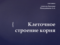 КЛЕТОЧНОЕ СТРОЕНИЕ КОРНЯ (6 класс)