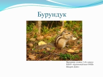 Презентация по окружающему миру на тему Животные леса (2 класс)