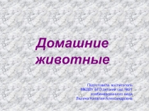 Презентация во 2 младшей группе на тему: Домашние животные