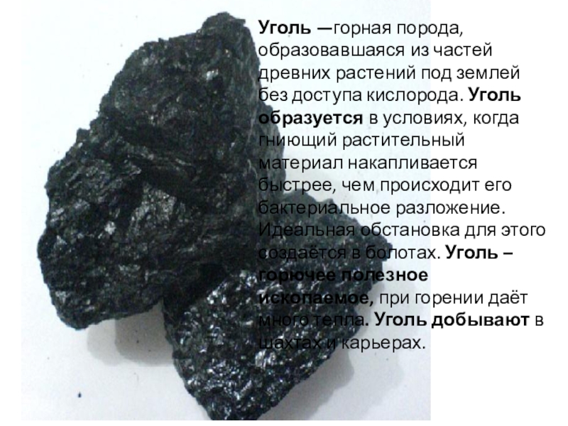 Каменный уголь осадочная. Уголь Горная порода. Каменный уголь Горная порода. Полезные ископаемые уголь. Уголь осадочная Горная порода.