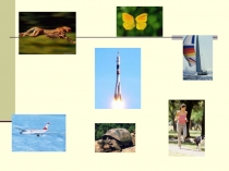 Презентация. Скорость. Единицы измерения скорости