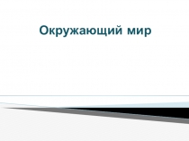 Презентация урока по окружающему миру Будь внимательным (1 класс)