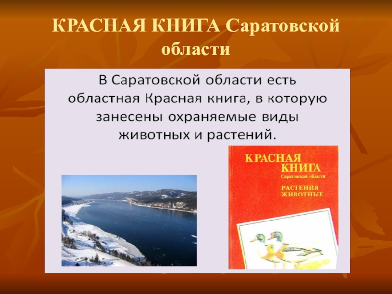 Красная Книга Саратовской Области Фото