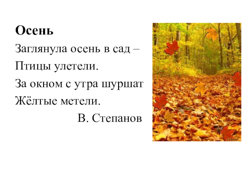 Русский язык 2 класс учебник заглянула осень. Заглянула осень в сад птицы улетели. В Степанов заглянула осень в сад. Заглянула осень. Стих заглянула осень в сад птицы улетели.