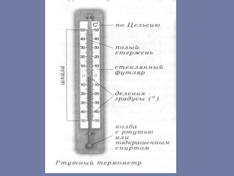 Презентация естествознание 2 класс откуда градусник знает тепло или холодно