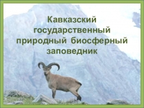 Урок. Презентация по окружающему миру Кавказский заповедник 2 класс