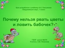 Презентация к уроку Почему нельзя рвать цветы и ловить бабочек (1 класс)