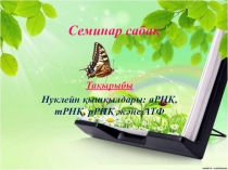 Семинар сабак нуклеин кышкылы