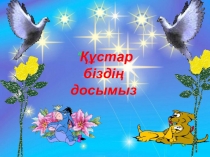 Презентация Құстар біздің досымыз