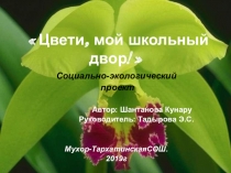 Проект: Цвети, мой школьный двор!