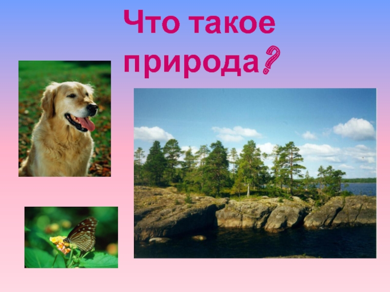 Что такое природа 1 класс окружающий. Природа 1. Что такое природа 1 класс окружающий мир. Проект Живая природа и что такое природа. Природа первый класс.