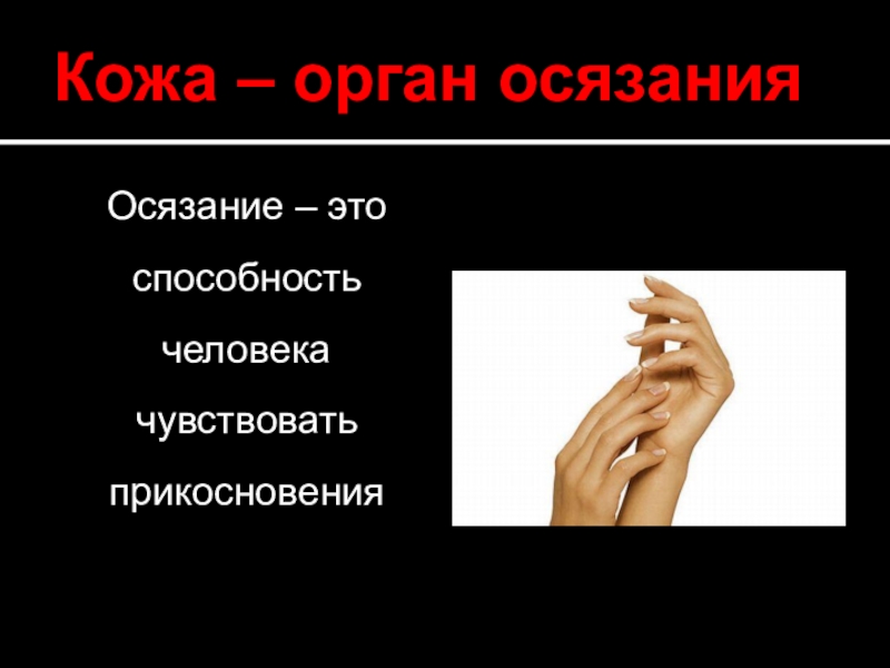 Кожа это орган. Орган осязания. Органы чувств осязание. Осязание это способность человека. Что такое осязание у человека.