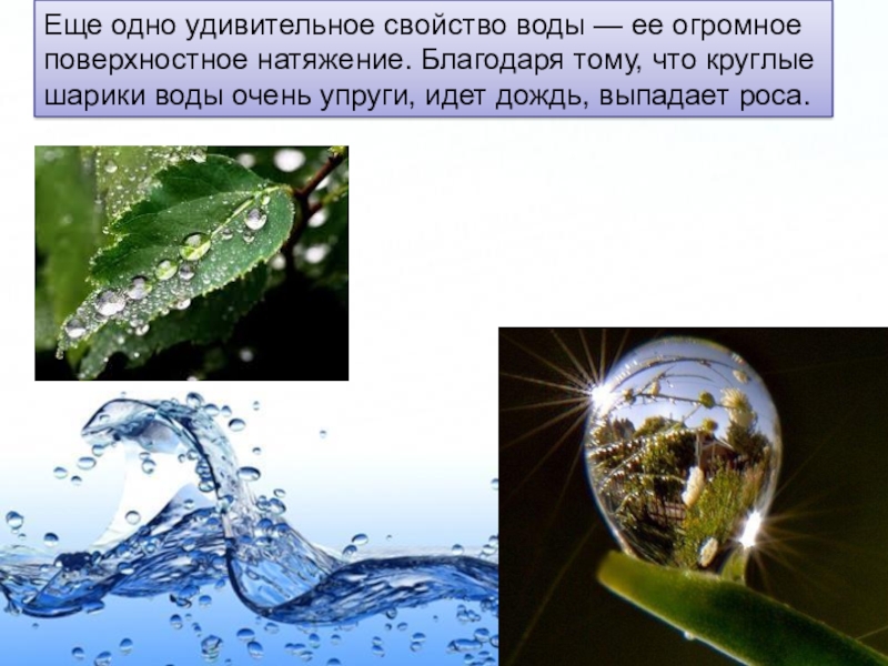 Аномалии воды проект