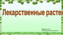 Презентация по познанию мира на тему  Лекарственные травы (2 класс)