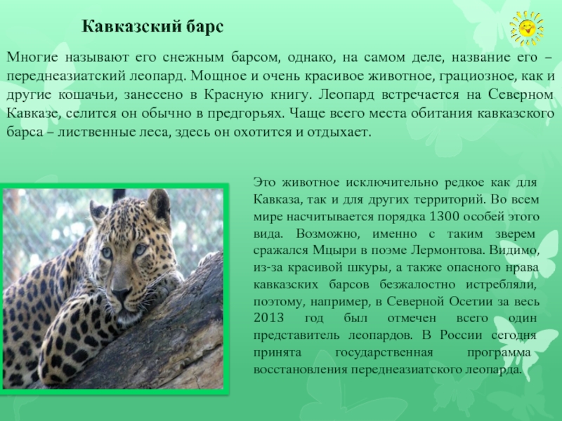 Кавказские Животные Фото
