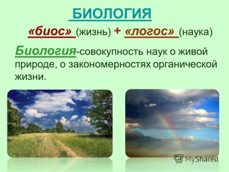 Природа презентация 3 класс. Презентация по теме природа. Что такое природа 3 класс. Природа 3 класс окружающий мир презентация.