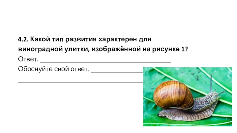 Какой тип развития характерен для синицы большой изображенной на рисунке 1 обоснуйте свой ответ