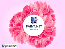 Презентация по информатике Paint.net