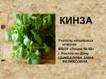 Презентация по окружающему миру Кинза