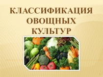 Презентация по сельскохозяйственному труду по теме Классификация овощных культур.