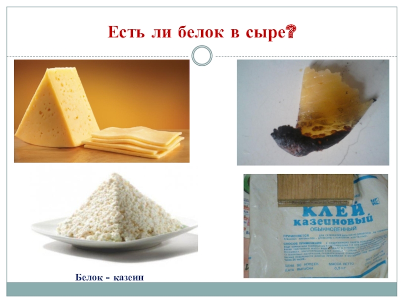 Белковый сыр. Белок в сыре. Казеин в сыре. Продукты с казеином. Продукты с высоким содержанием казеина.