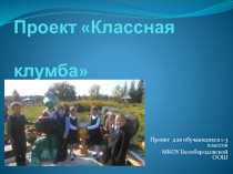 Проект Классная клумба в рамках урока математики и курса Проектная деятельность