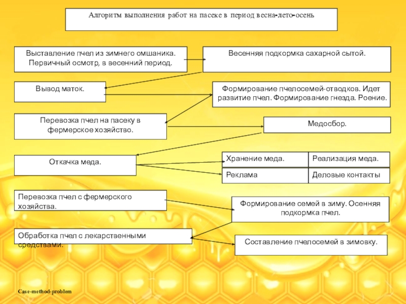 Бизнес план пасеки