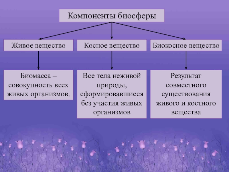 Виды биосферы. Биокосное косное и живое вещество. Живое биогенное косное биокосное. Основные компоненты биосферы. Биогенные компоненты биосферы.