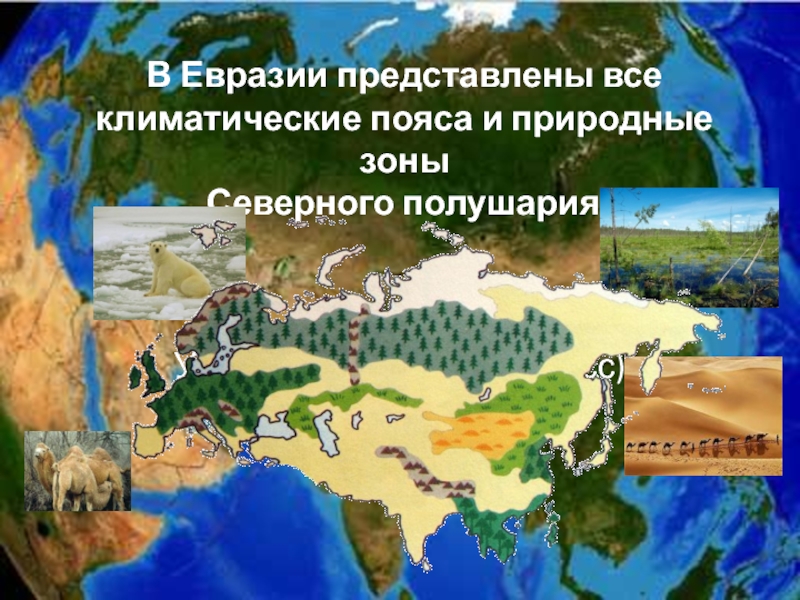 Северная евразия воды. Природные зоны материка Евразия. Природные зоны евраззи. Карта природных зон Евразии. Природные зоны Северной Евразии.
