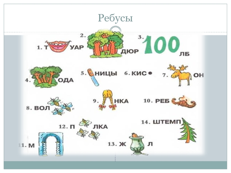 Ребусы 5 класс русский язык презентация