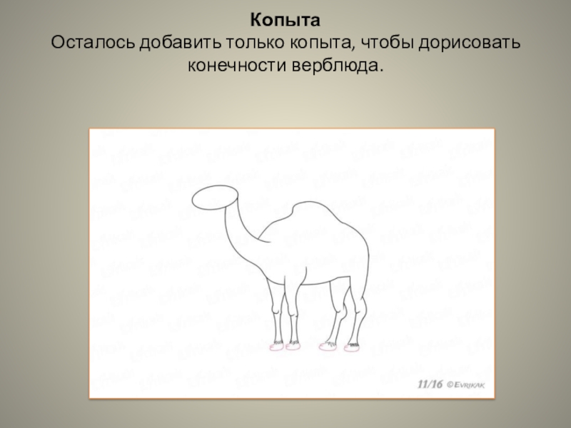 Как нарисовать верблюда по координатам 6 класс