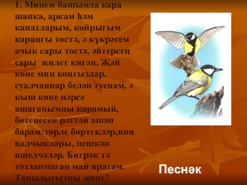 4 птицы текст. Презентация на татарском языке про птиц. Птицы на татарском языке. Презентация про птиц на татарском. Птицы на башкирском языке.