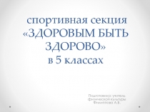 Внеурочная деятельность в 5 классе с оздоровительно-спортивной направленности.