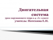 Презентация по окружающему миру по теме Опорно-двигательная система(4 класс)