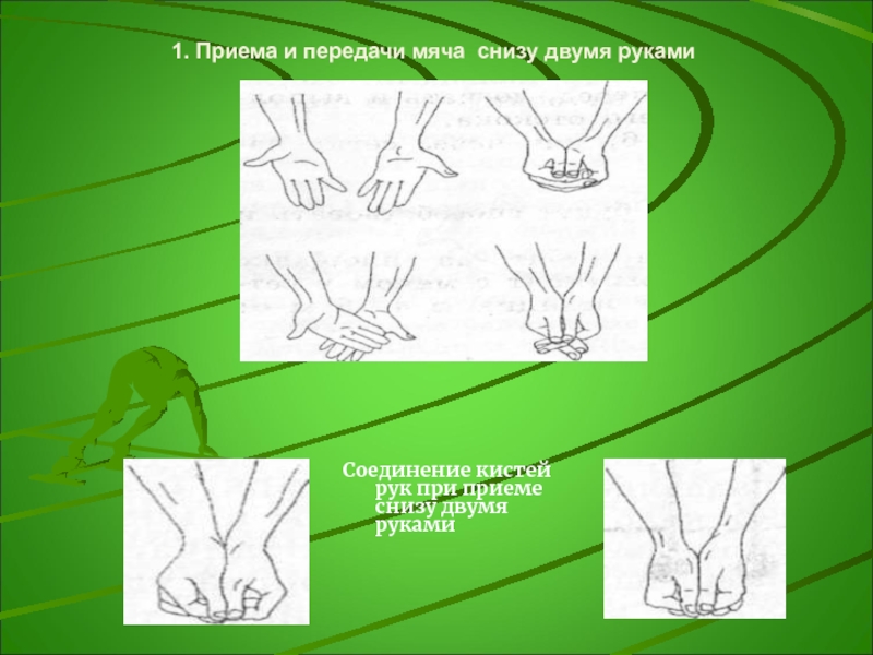прием и передача мяча снизу. приём мяча снизу двумя руками. руки при приеме снизу. руки при приеме снизу. положение рук при приеме мяча в волейболе.