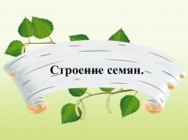 Презентация по биологии на тему Строение семян
