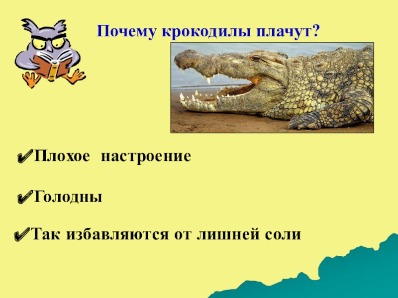 Симулятор крокодила. Симулятор крокодила. Игра крокодил в телеграмме. Динозавры симулятор битва. Теризинозавр.