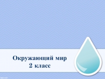Презентация к уроку окружающего мира на темуЗначение воды для всего живого на Земле. Загрязнение водоёмов (Царица-водица)