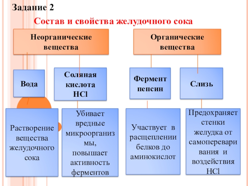 Свойства желудочного сока