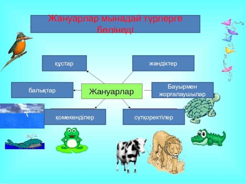 Өсімдіктер мен жануарлардың адам өміріндегі рөлі презентация