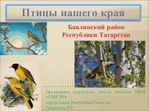 Презентация по биологии на тему: Птицы нашего края, 7 класс.