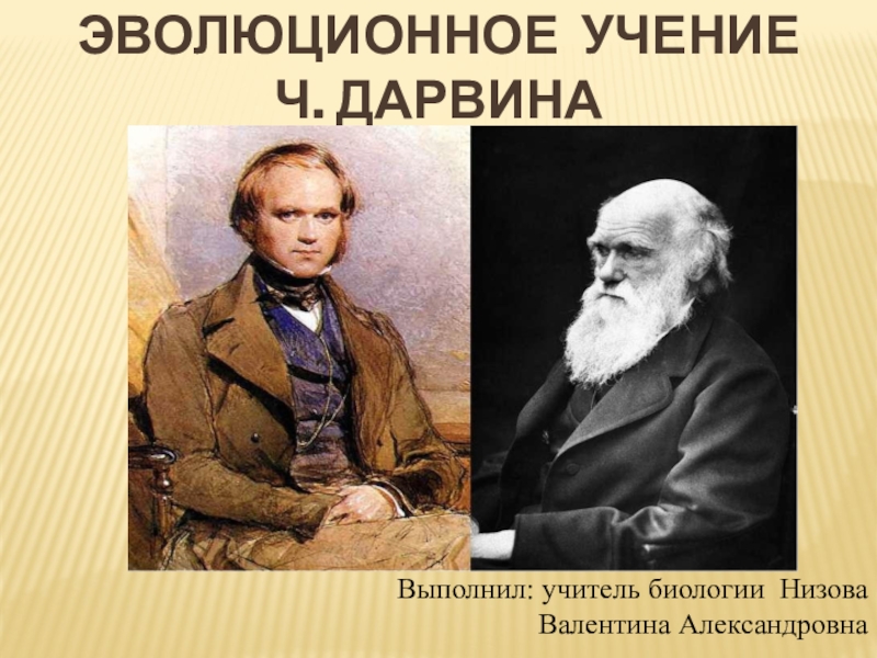 Реферат: Эволюционная теория Чарльза Дарвина