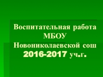 Воспитательная работа МБОУ Новониколаевской сош