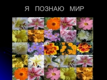 Игра-презентация Я познаю мир по биологии для 6-10 классов