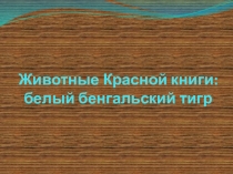Презентация по окружающему миру. Белый тигр. Животное Красной книги.
