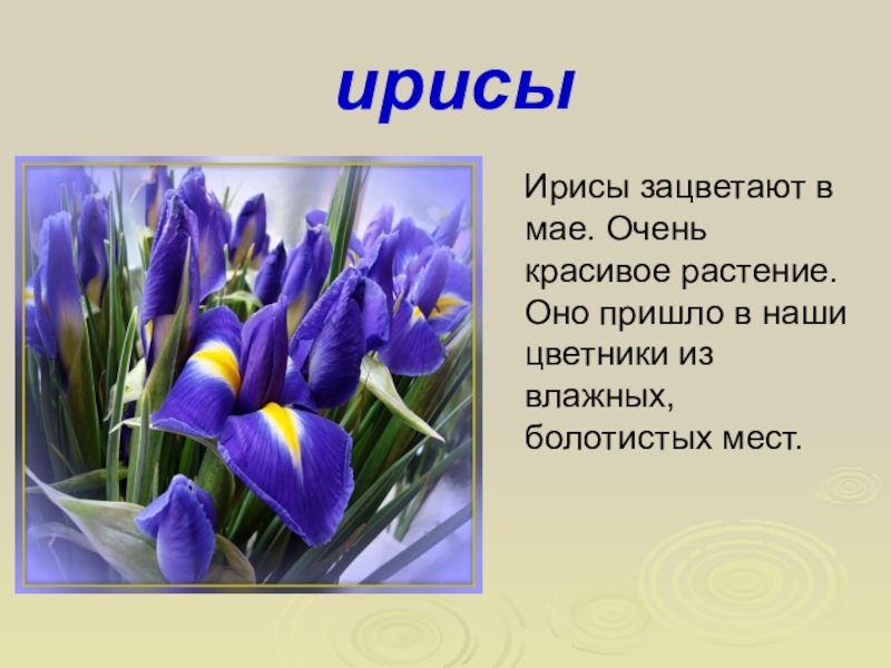 Презентация что красивее всего 2 класс презентация