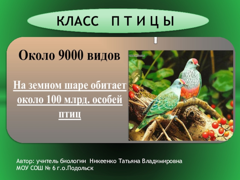 Класс птицы 7 класс биология конспект кратко