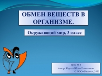 Презентация по окружающему миру на тему обмен веществ в организме