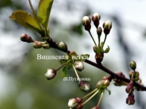 Презентация по литературе на темуВишневая ветка
