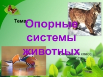 Презентация к уроку по биологии